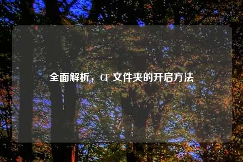 全面解析，CF 文件夹的开启方法