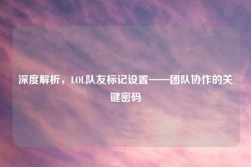 深度解析，LOL队友标记设置——团队协作的关键密码