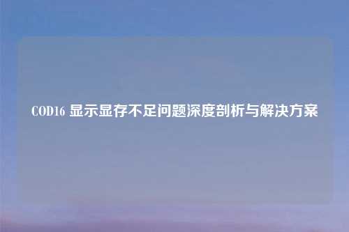 COD16 显示显存不足问题深度剖析与解决方案