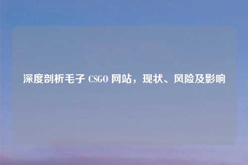 深度剖析毛子 CSGO 网站，现状、风险及影响
