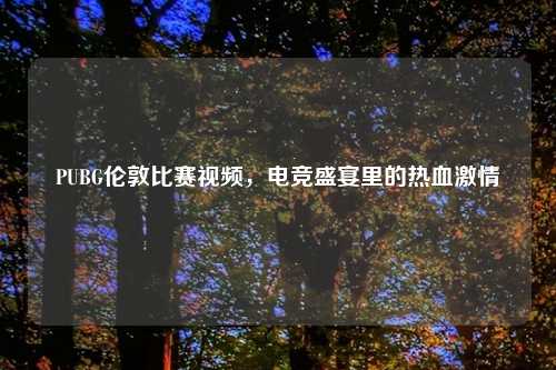 PUBG伦敦比赛视频,电竞盛宴里的热血激情