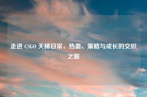 走进 CSGO 天梯日常，热血、策略与成长的交织之旅