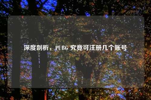 深度剖析，PUBG 究竟可注册几个账号