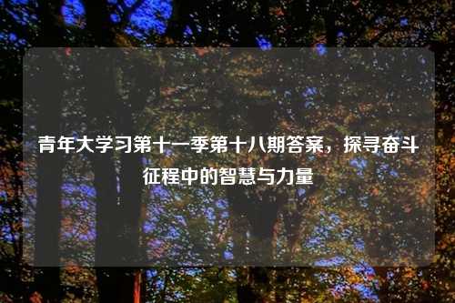 青年大学习第十一季第十八期答案，探寻奋斗征程中的智慧与力量