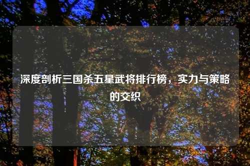 深度剖析三国杀五星武将排行榜，实力与策略的交织