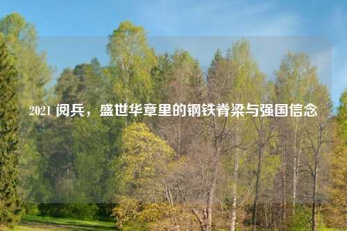 2021 阅兵，盛世华章里的钢铁脊梁与强国信念