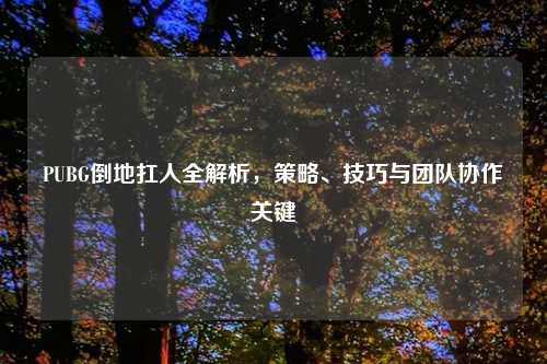 PUBG倒地扛人全解析,策略、技巧与团队协作关键
