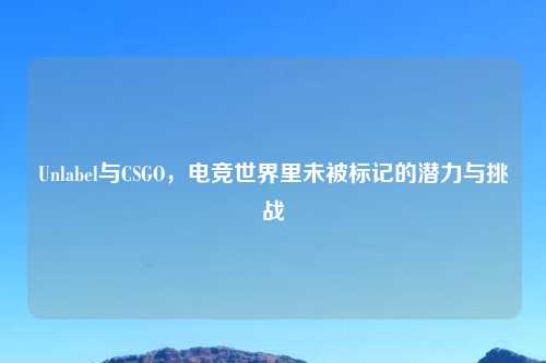 Unlabel与CSGO，电竞世界里未被标记的潜力与挑战