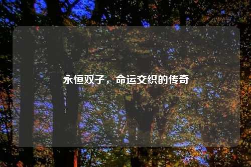 永恒双子，命运交织的传奇
