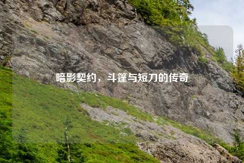 暗影契约，斗篷与短刀的传奇