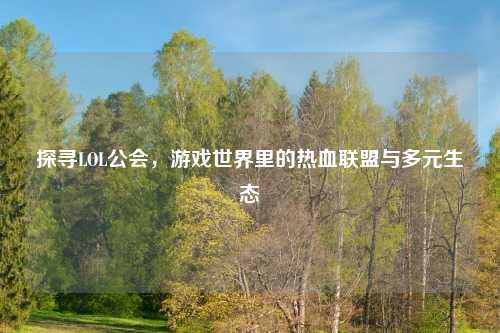 探寻LOL公会，游戏世界里的热血联盟与多元生态