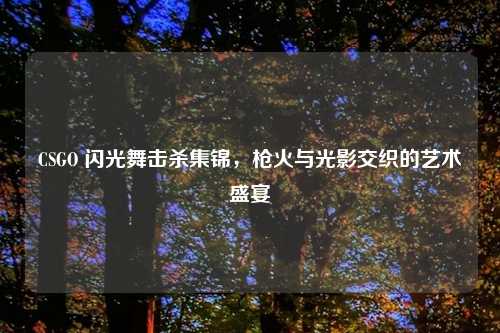 CSGO 闪光舞击杀集锦,枪火与光影交织的艺术盛宴