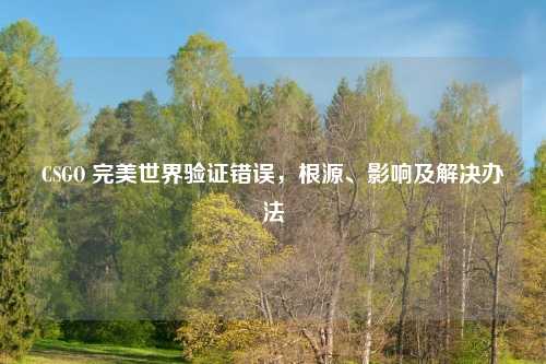 CSGO 完美世界验证错误，根源、影响及解决办法