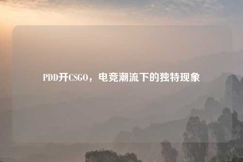PDD开CSGO，电竞潮流下的独特现象