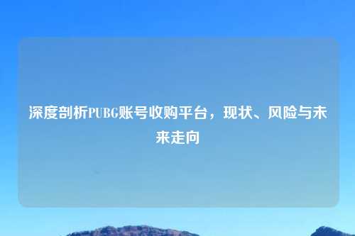 深度剖析PUBG账号收购平台，现状、风险与未来走向
