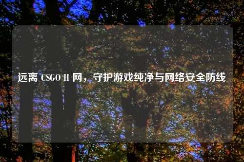 远离 CSGO H 网，守护游戏纯净与网络安全防线