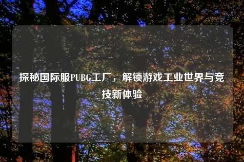 探秘国际服PUBG工厂，解锁游戏工业世界与竞技新体验
