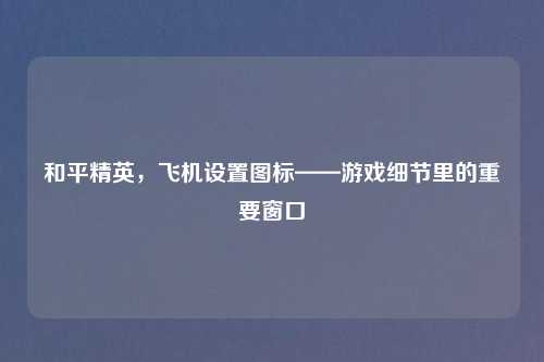和平精英，飞机设置图标——游戏细节里的重要窗口