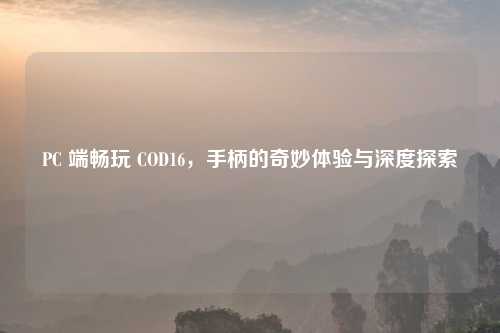 PC 端畅玩 COD16，手柄的奇妙体验与深度探索
