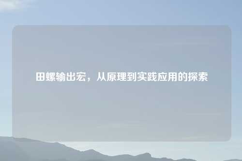 田螺输出宏，从原理到实践应用的探索