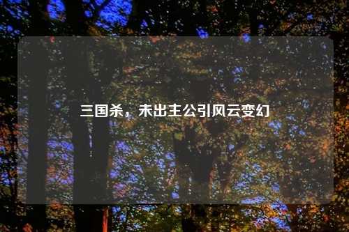 三国杀,未出主公引风云变幻