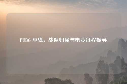 PUBG 小鬼，战队归属与电竞征程探寻