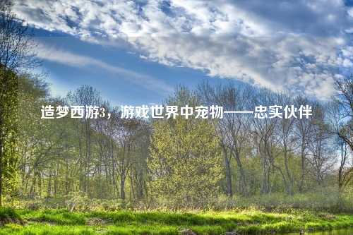 造梦西游3，游戏世界中宠物——忠实伙伴