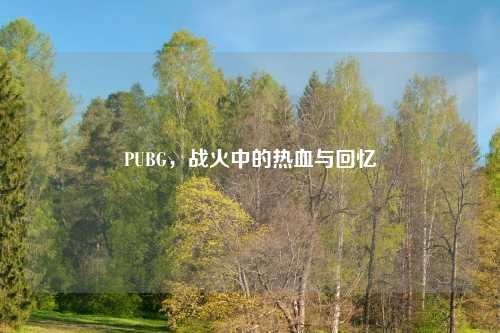 PUBG，战火中的热血与回忆