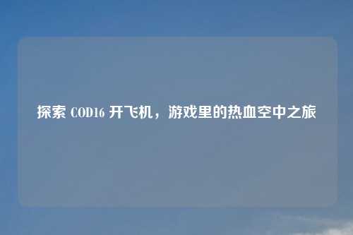 探索 COD16 开飞机，游戏里的热血空中之旅