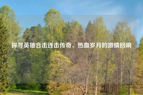 探寻英雄合击连击传奇，热血岁月的激情回响