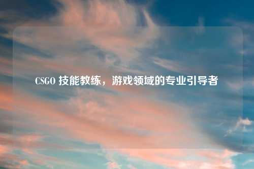 CSGO 技能教练，游戏领域的专业引导者