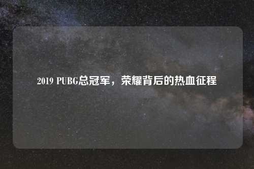 2019 PUBG总冠军，荣耀背后的热血征程