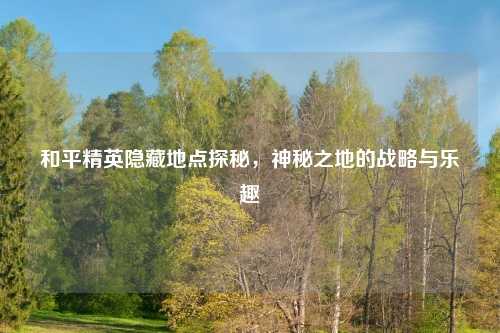 和平精英隐藏地点探秘，神秘之地的战略与乐趣