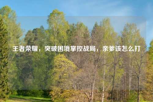 王者荣耀，突破困境掌控战局，亲爹该怎么打