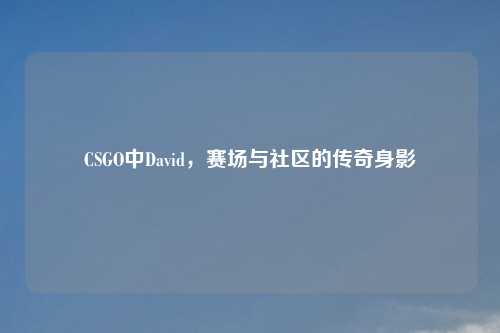 CSGO中David，赛场与社区的传奇身影