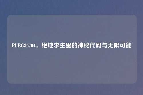 PUBG86704，绝地求生里的神秘代码与无限可能