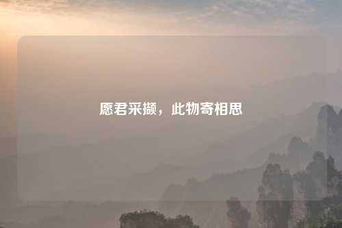 愿君采撷，此物寄相思