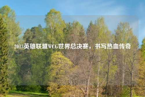 2013英雄联盟WCG世界总决赛，书写热血传奇