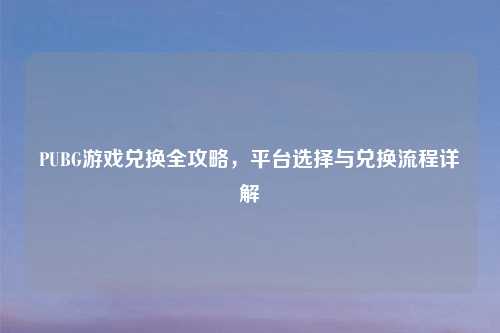 PUBG游戏兑换全攻略，平台选择与兑换流程详解