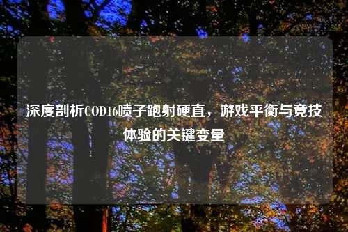 深度剖析COD16喷子跑射硬直，游戏平衡与竞技体验的关键变量