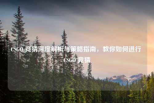 CSGO 竞猜深度解析与策略指南，教你如何进行 CSGO 竞猜