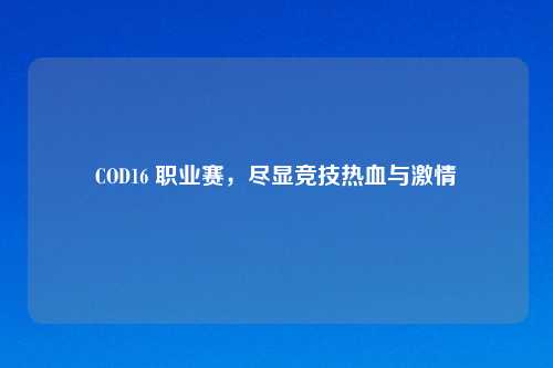 COD16 职业赛，尽显竞技热血与激情