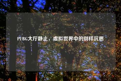 PUBG大厅静止，虚拟世界中的别样沉思