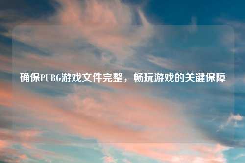 确保PUBG游戏文件完整，畅玩游戏的关键保障