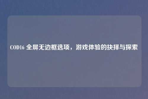 COD16 全屏无边框选项，游戏体验的抉择与探索