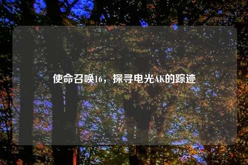 使命召唤16，探寻电光AK的踪迹