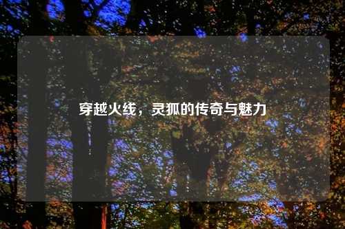 穿越火线，灵狐的传奇与魅力