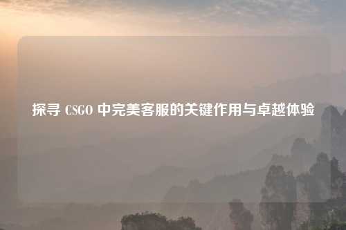 探寻 CSGO 中完美客服的关键作用与卓越体验