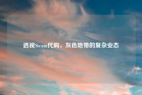 透视Steam代购，灰色地带的复杂业态