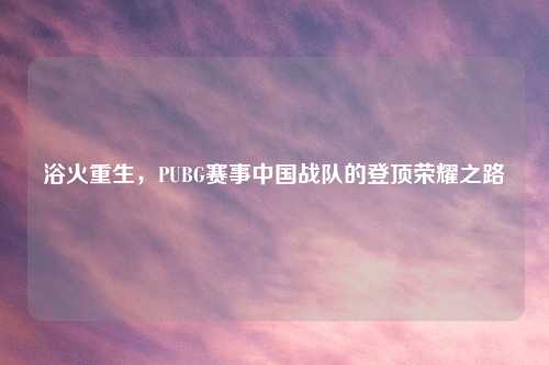 浴火重生，PUBG赛事中国战队的登顶荣耀之路